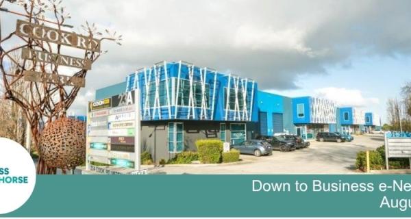 Down to Business August Edition 2025